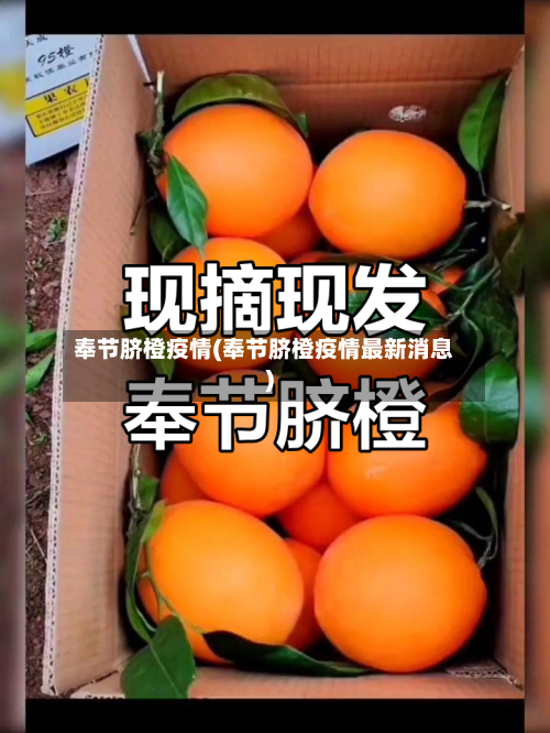 奉节脐橙疫情(奉节脐橙疫情最新消息)-第1张图片