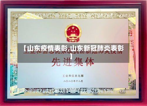 【山东疫情表彰,山东新冠肺炎表彰】-第2张图片