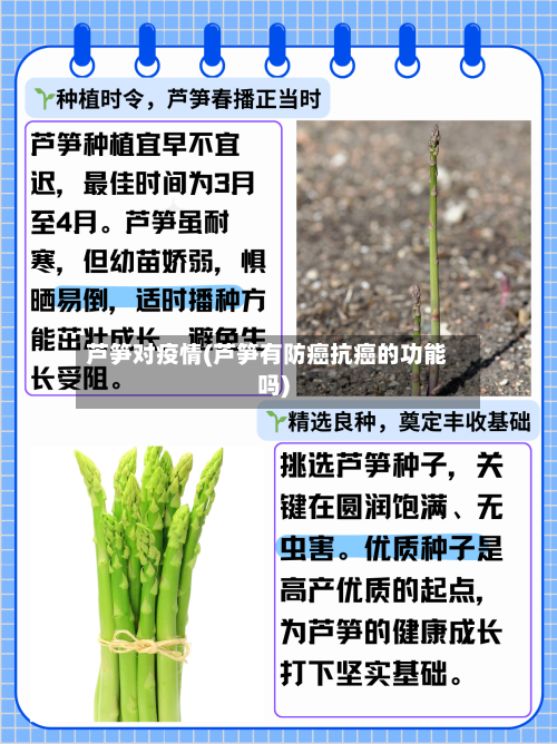 芦笋对疫情(芦笋有防癌抗癌的功能吗)-第1张图片
