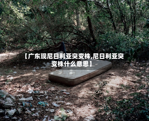 【广东现尼日利亚突变株,尼日利亚突变株什么意思】-第1张图片