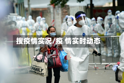 搜疫情实况/疫 情实时动态-第3张图片