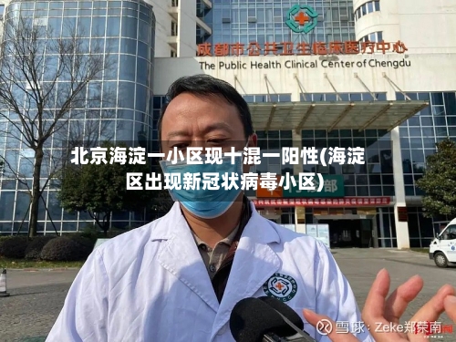 北京海淀一小区现十混一阳性(海淀区出现新冠状病毒小区)-第2张图片