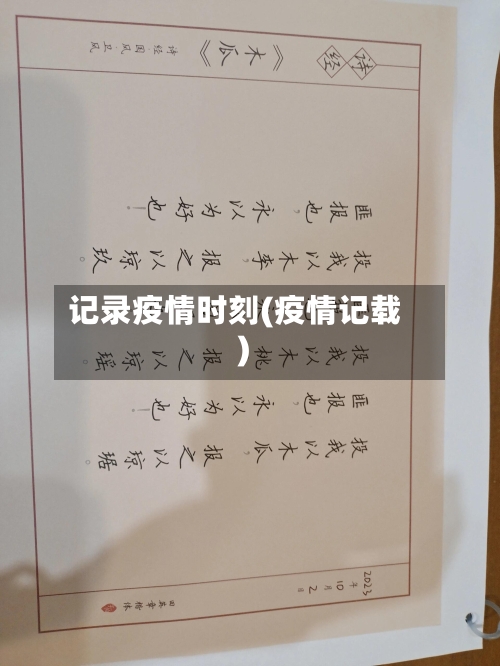 记录疫情时刻(疫情记载)-第2张图片