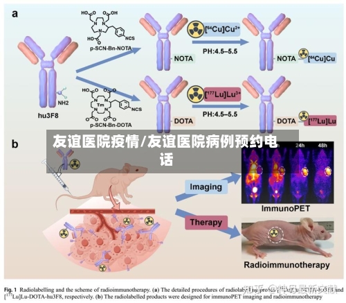 友谊医院疫情/友谊医院病例预约电话-第1张图片