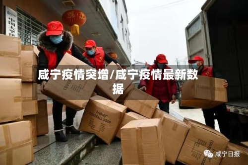 咸宁疫情突增/咸宁疫情最新数据-第1张图片
