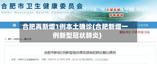 合肥再新增1例本土确诊(合肥新增一例新型冠状肺炎)-第1张图片