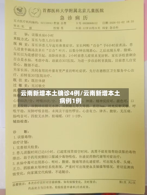 云南新增本土确诊4例/云南新增本土病例1例-第2张图片