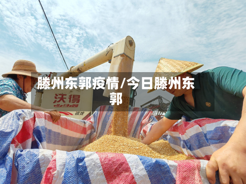 滕州东郭疫情/今日滕州东郭-第1张图片