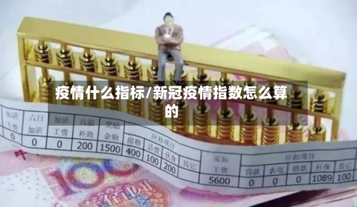 疫情什么指标/新冠疫情指数怎么算的-第2张图片