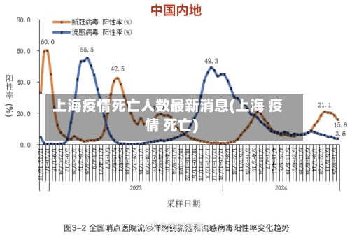 上海疫情死亡人数最新消息(上海 疫情 死亡)-第2张图片