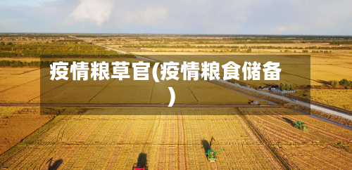 疫情粮草官(疫情粮食储备)-第3张图片