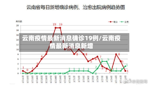 云南疫情最新消息确诊19例/云南疫情最新消息新增-第3张图片