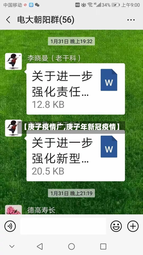 【庚子疫情广,庚子年新冠疫情】-第1张图片