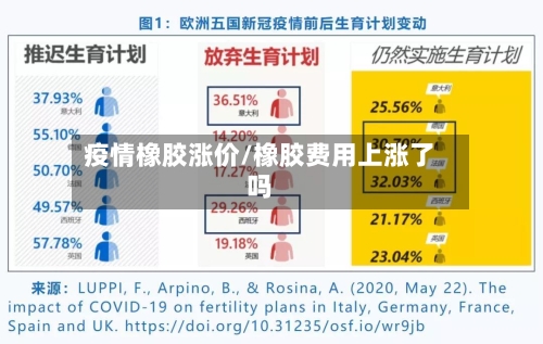疫情橡胶涨价/橡胶费用上涨了吗-第1张图片