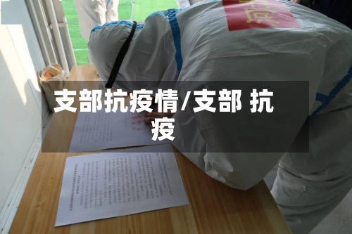 支部抗疫情/支部 抗疫-第1张图片