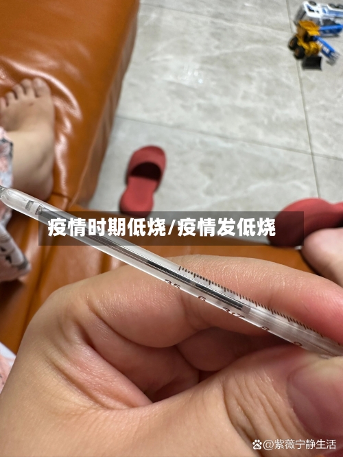 疫情时期低烧/疫情发低烧-第1张图片