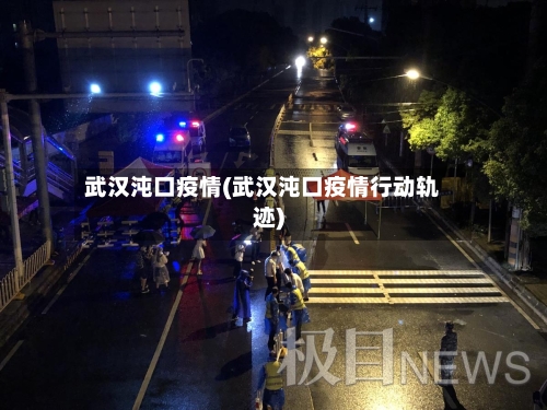 武汉沌口疫情(武汉沌口疫情行动轨迹)-第1张图片