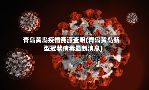 青岛黄岛疫情溯源查明(青岛黄岛新型冠状病毒最新消息)-第1张图片