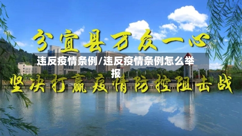 违反疫情条例/违反疫情条例怎么举报-第3张图片