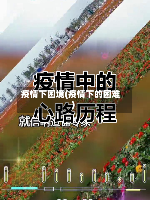 疫情下困境(疫情下的困难)-第2张图片