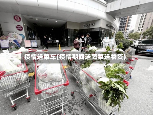疫情送菜车(疫情期间送蔬菜送物资)-第2张图片
