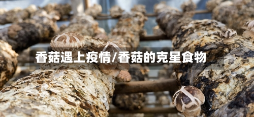 香菇遇上疫情/香菇的克星食物-第2张图片