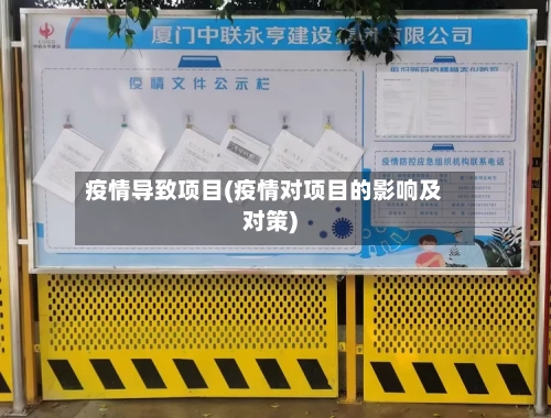 疫情导致项目(疫情对项目的影响及对策)-第2张图片