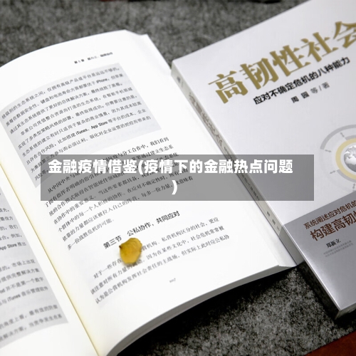 金融疫情借鉴(疫情下的金融热点问题)-第1张图片