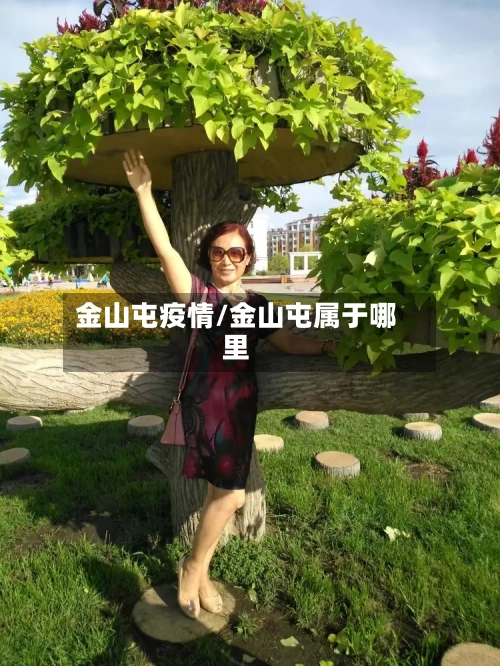 金山屯疫情/金山屯属于哪里-第1张图片