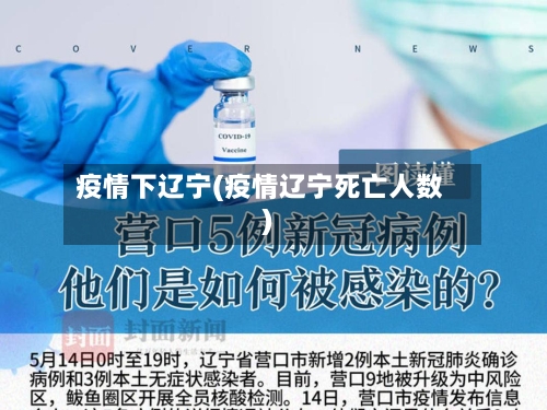 疫情下辽宁(疫情辽宁死亡人数)-第3张图片