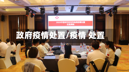 政府疫情处置/疫情 处置-第3张图片