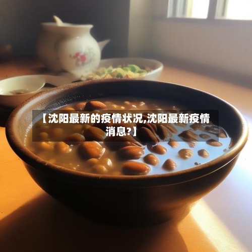 【沈阳最新的疫情状况,沈阳最新疫情消息?】-第1张图片